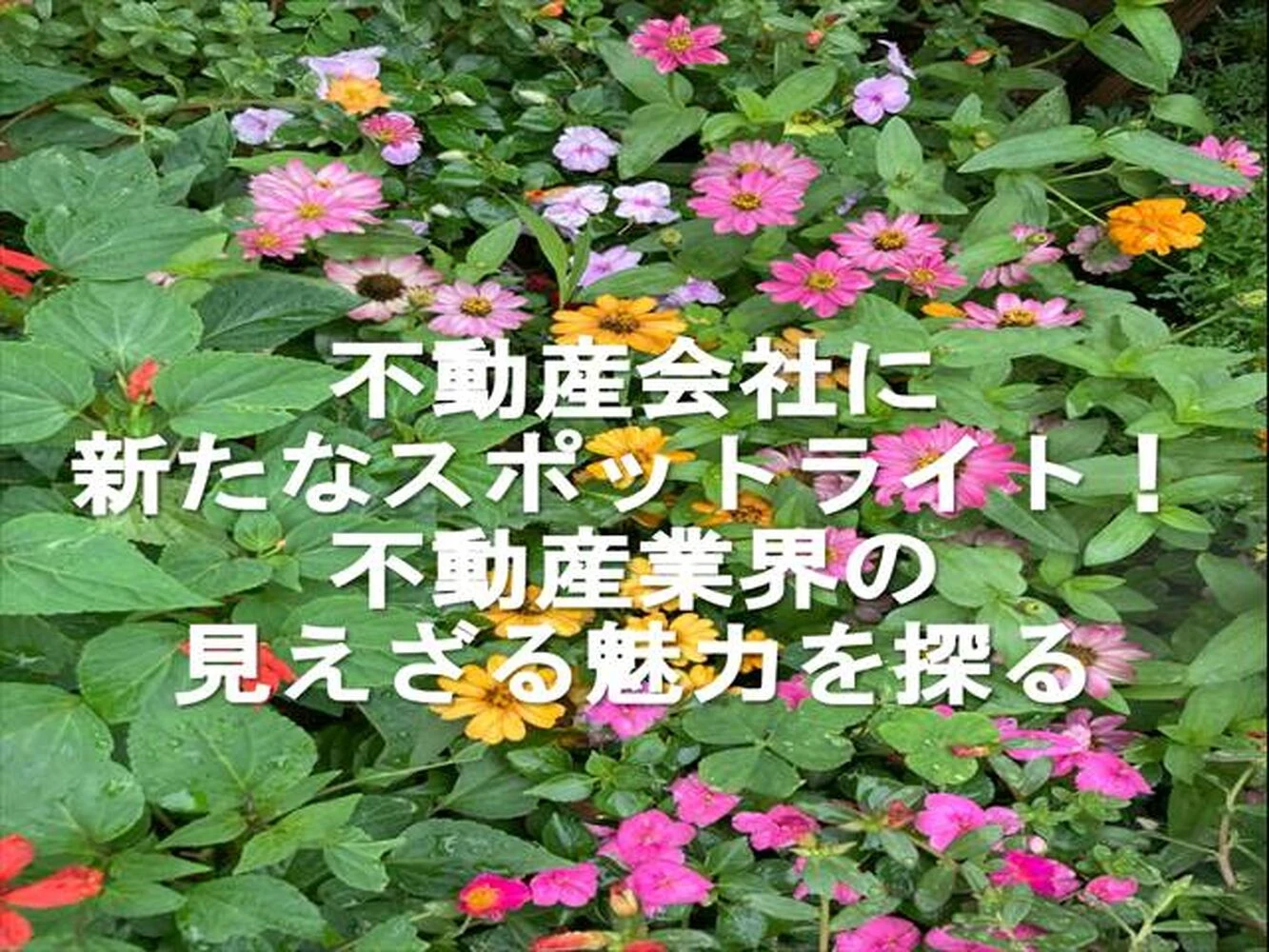 画像7576