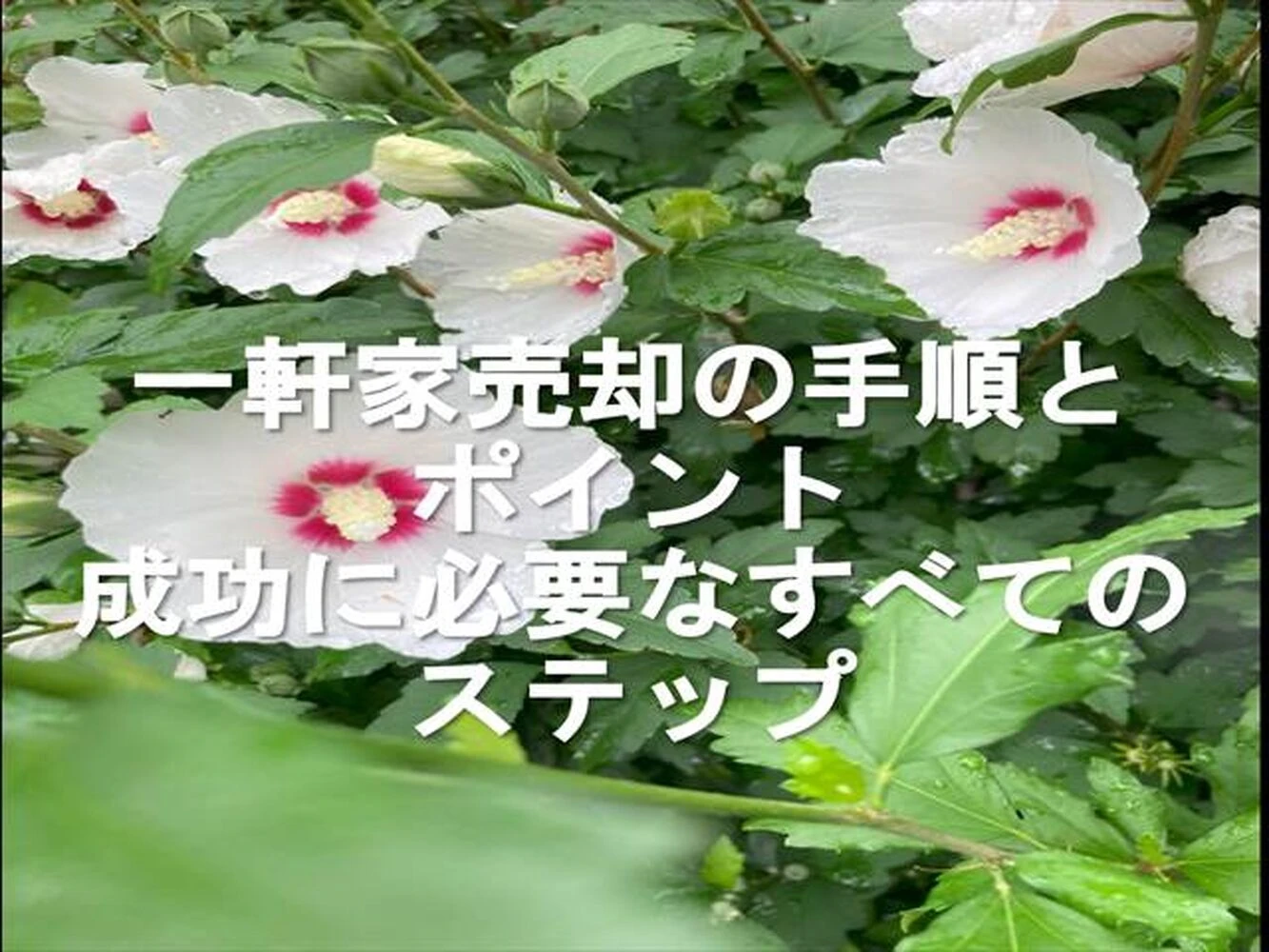 画像7894