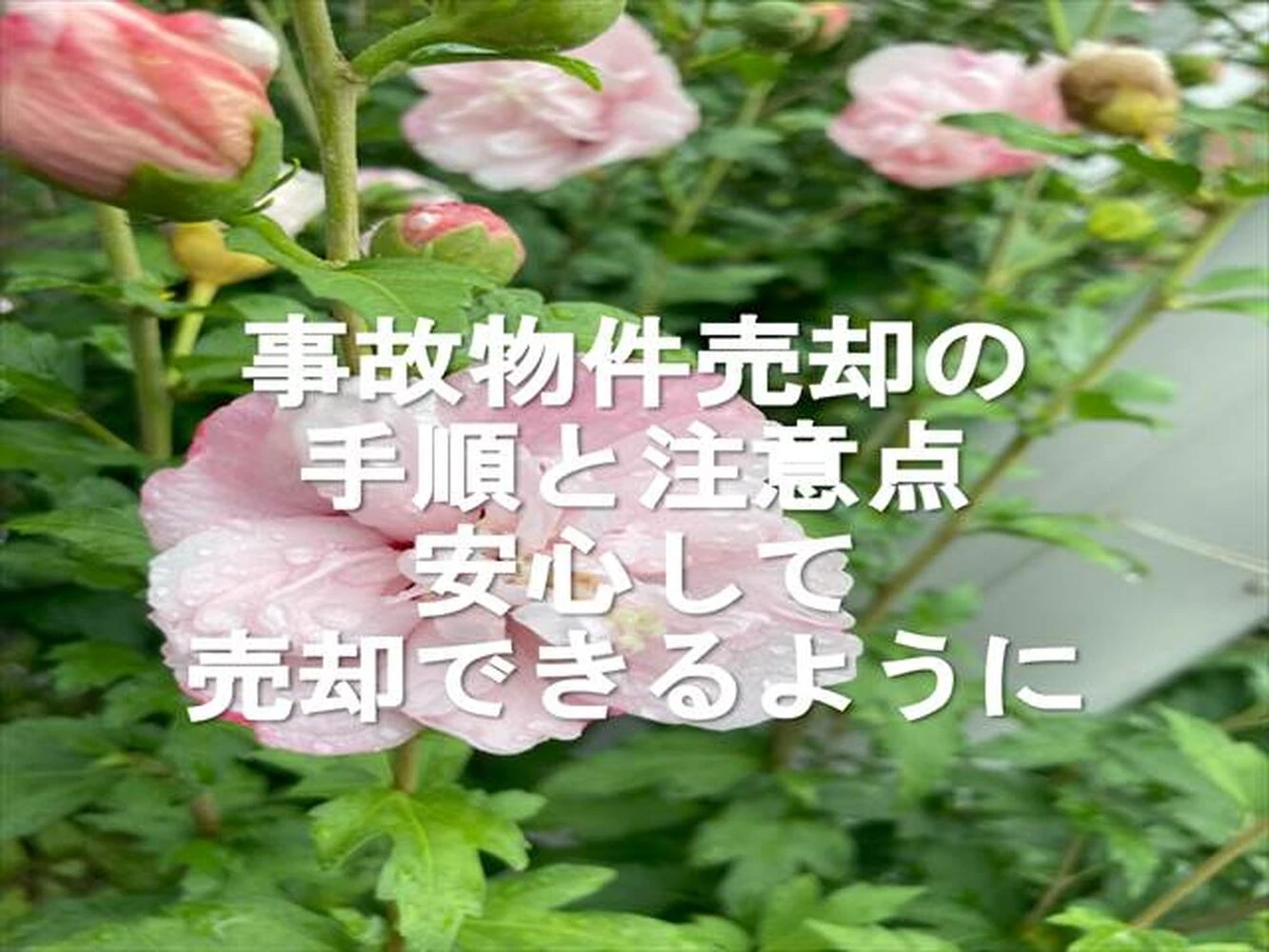 画像7958