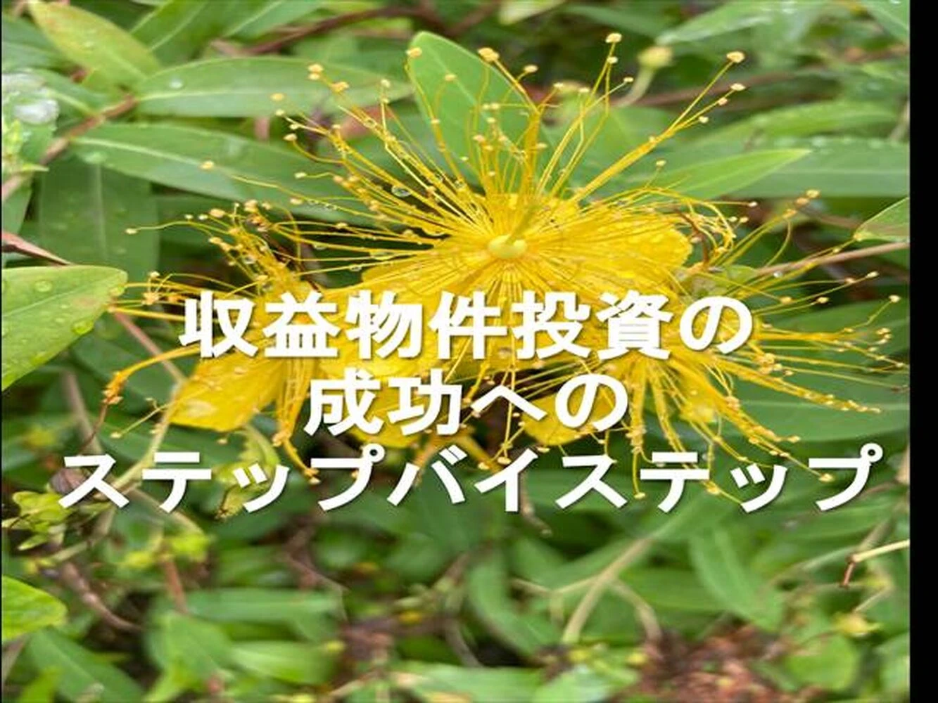 画像8001