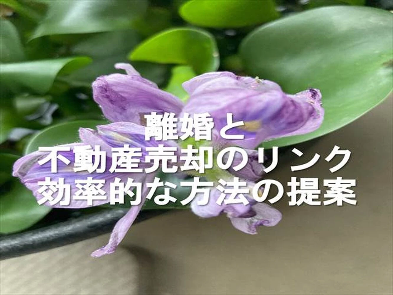 画像8070