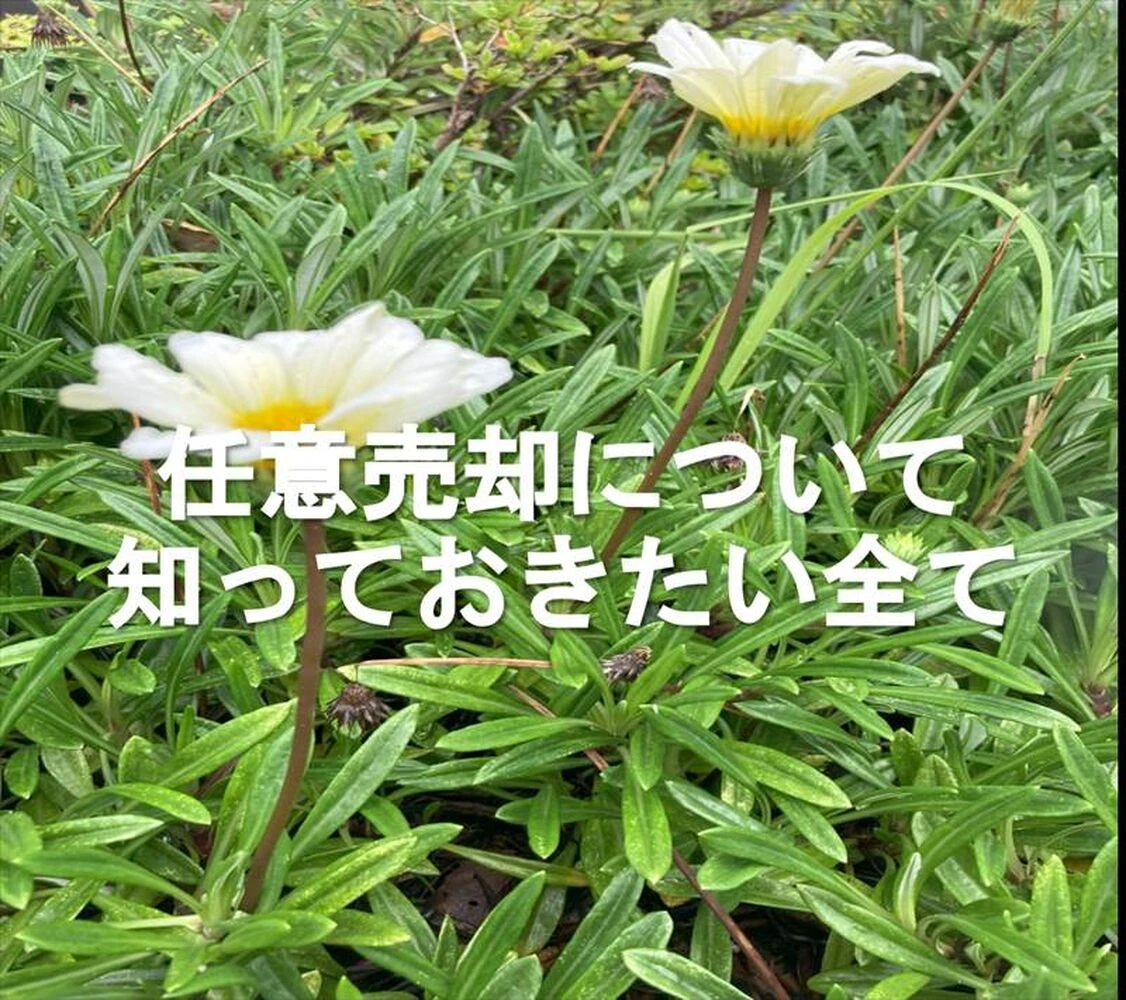 画像8218