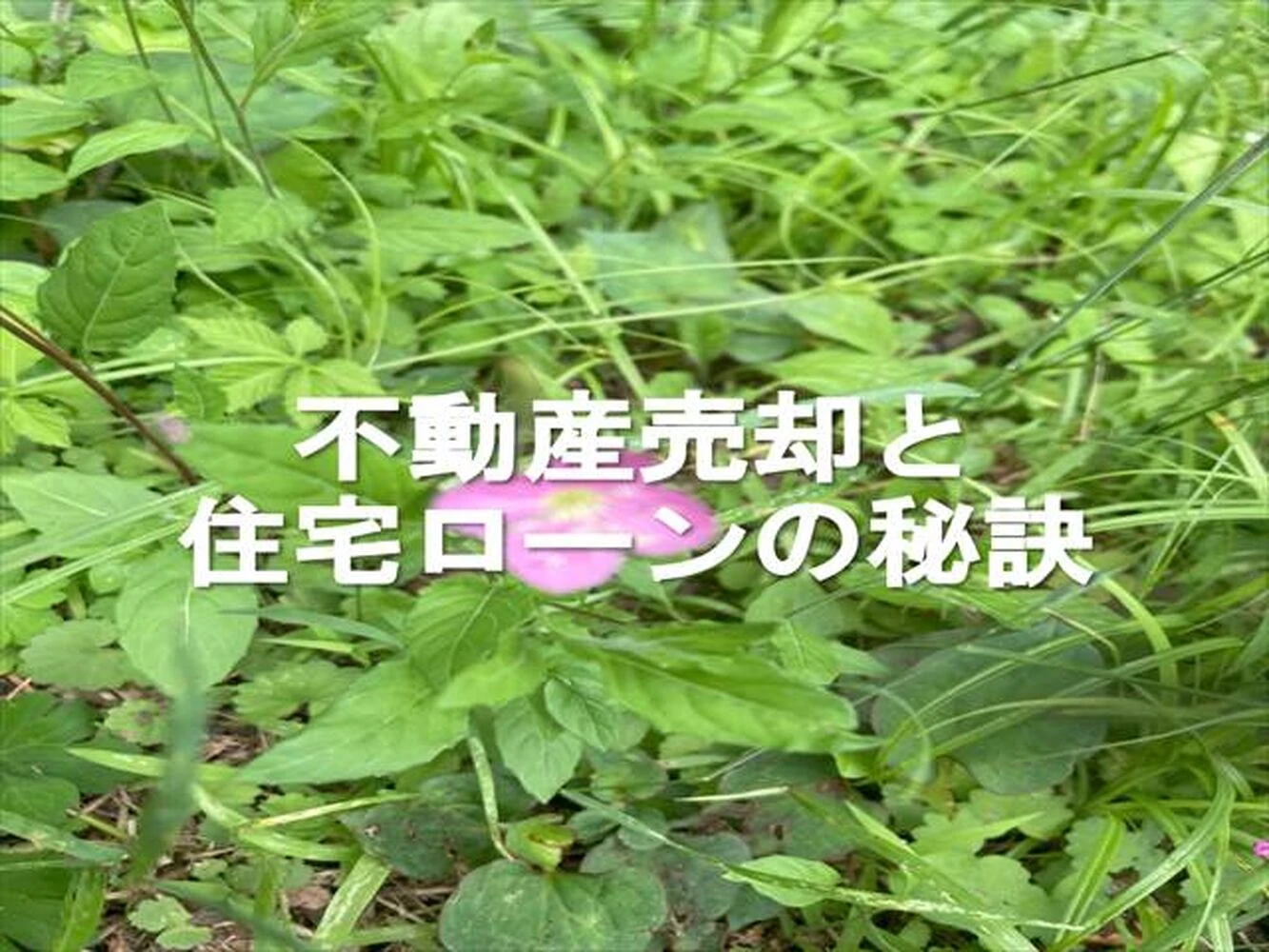 画像8896