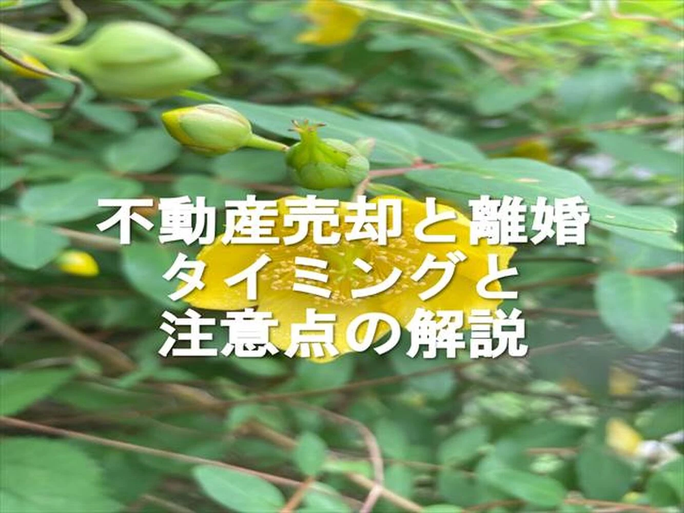 画像8897