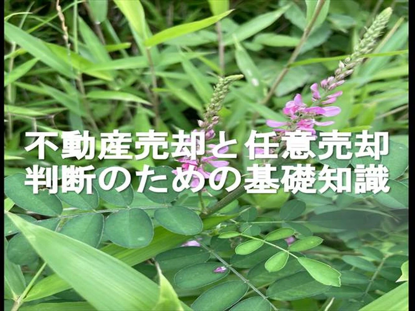 画像8980