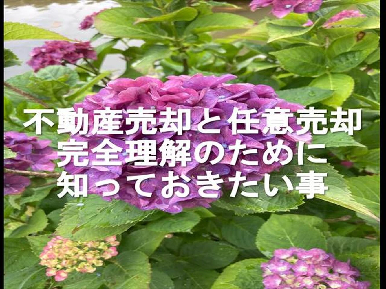 画像9051
