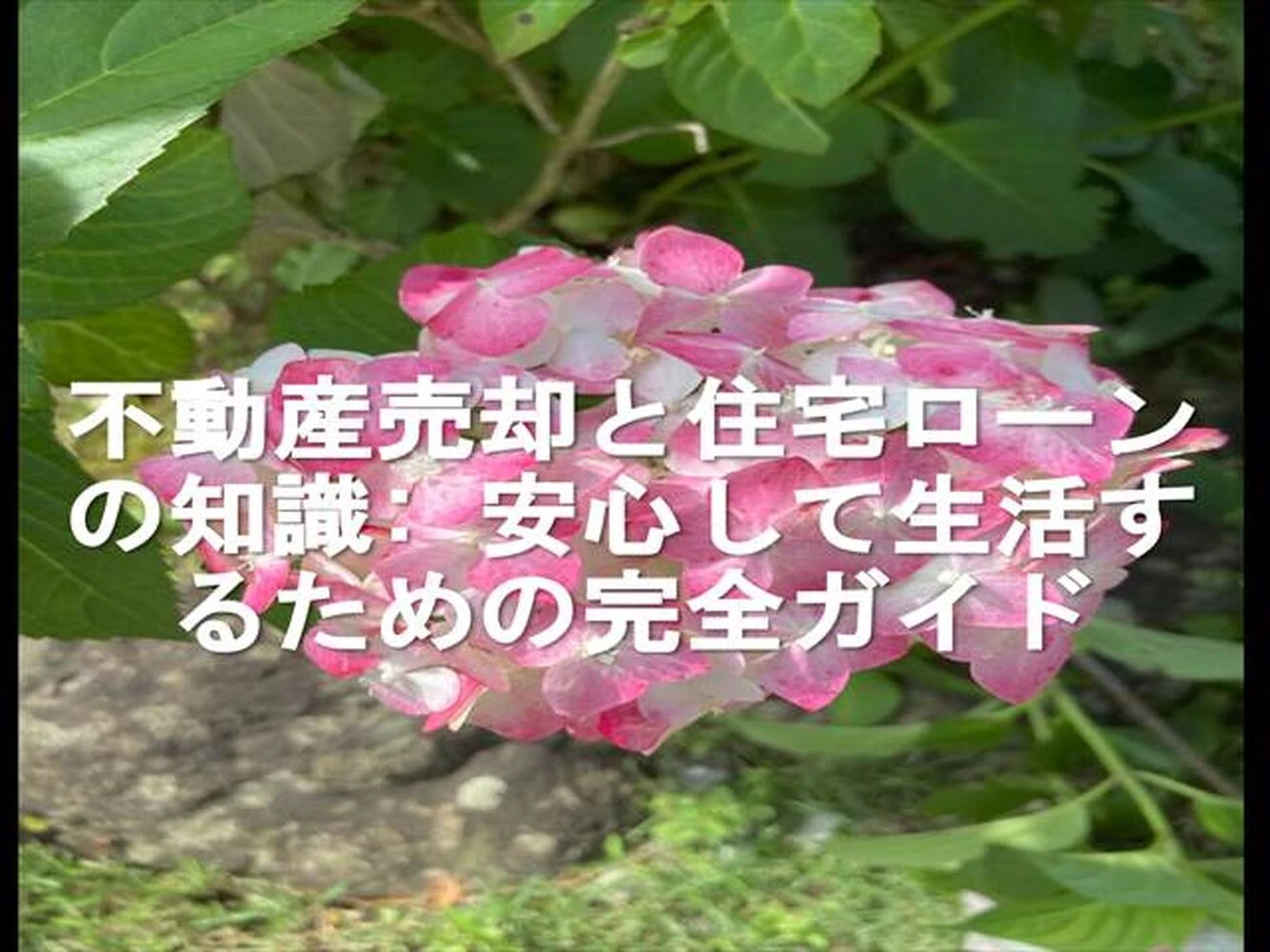 画像9134