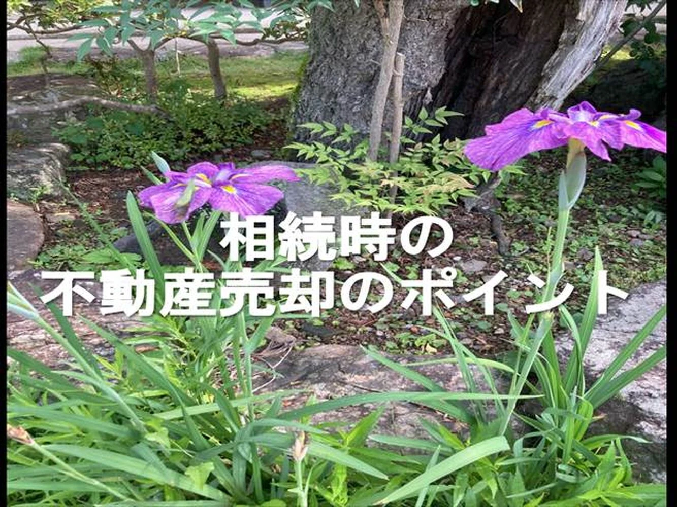 画像9265