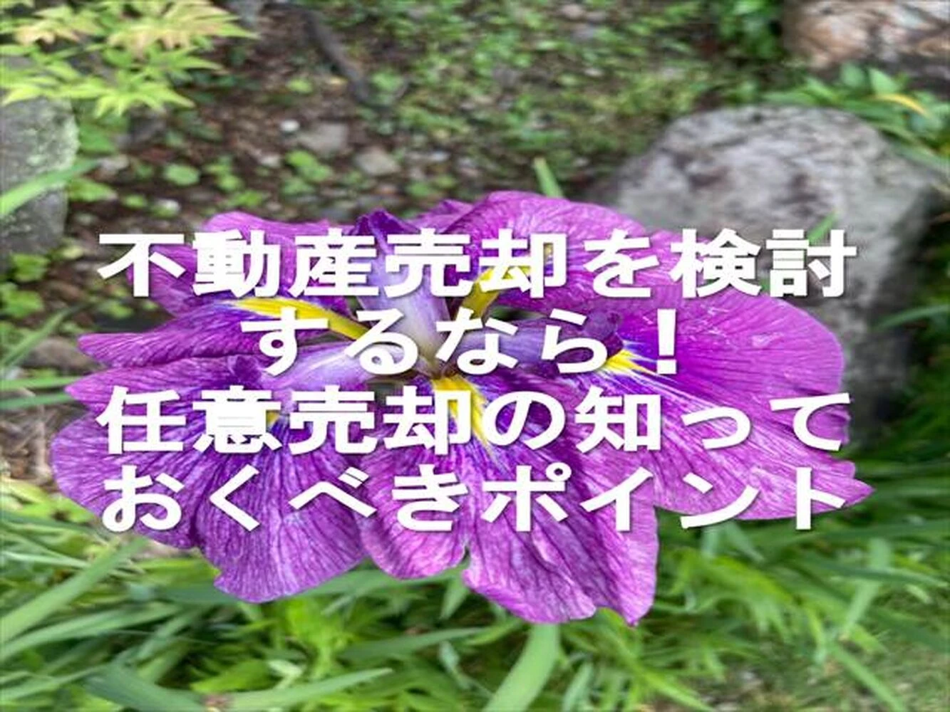 画像9330