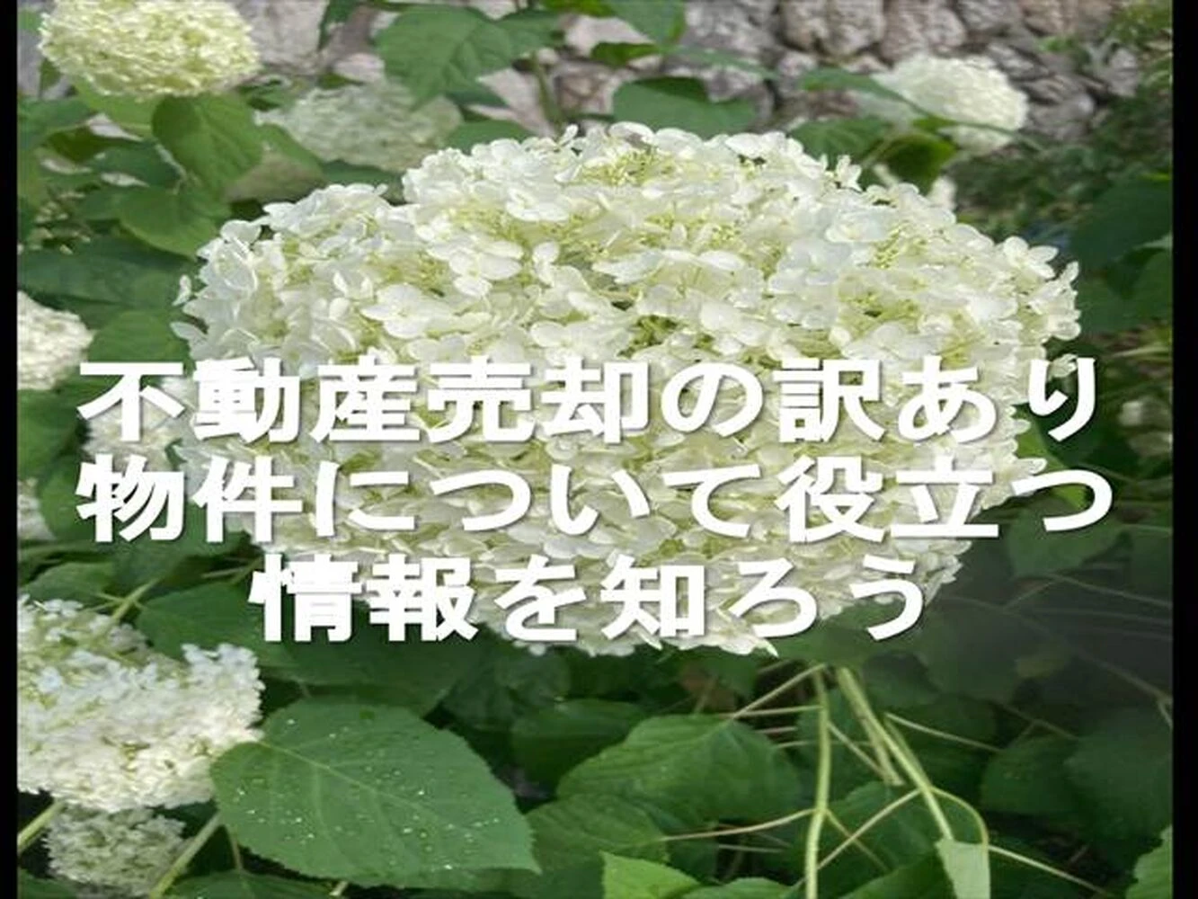 画像9371