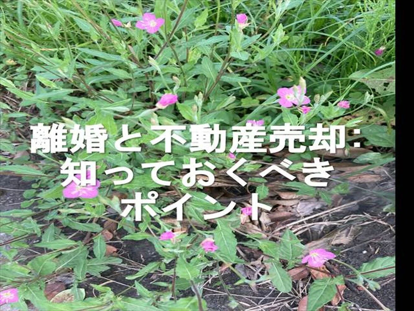 画像9465