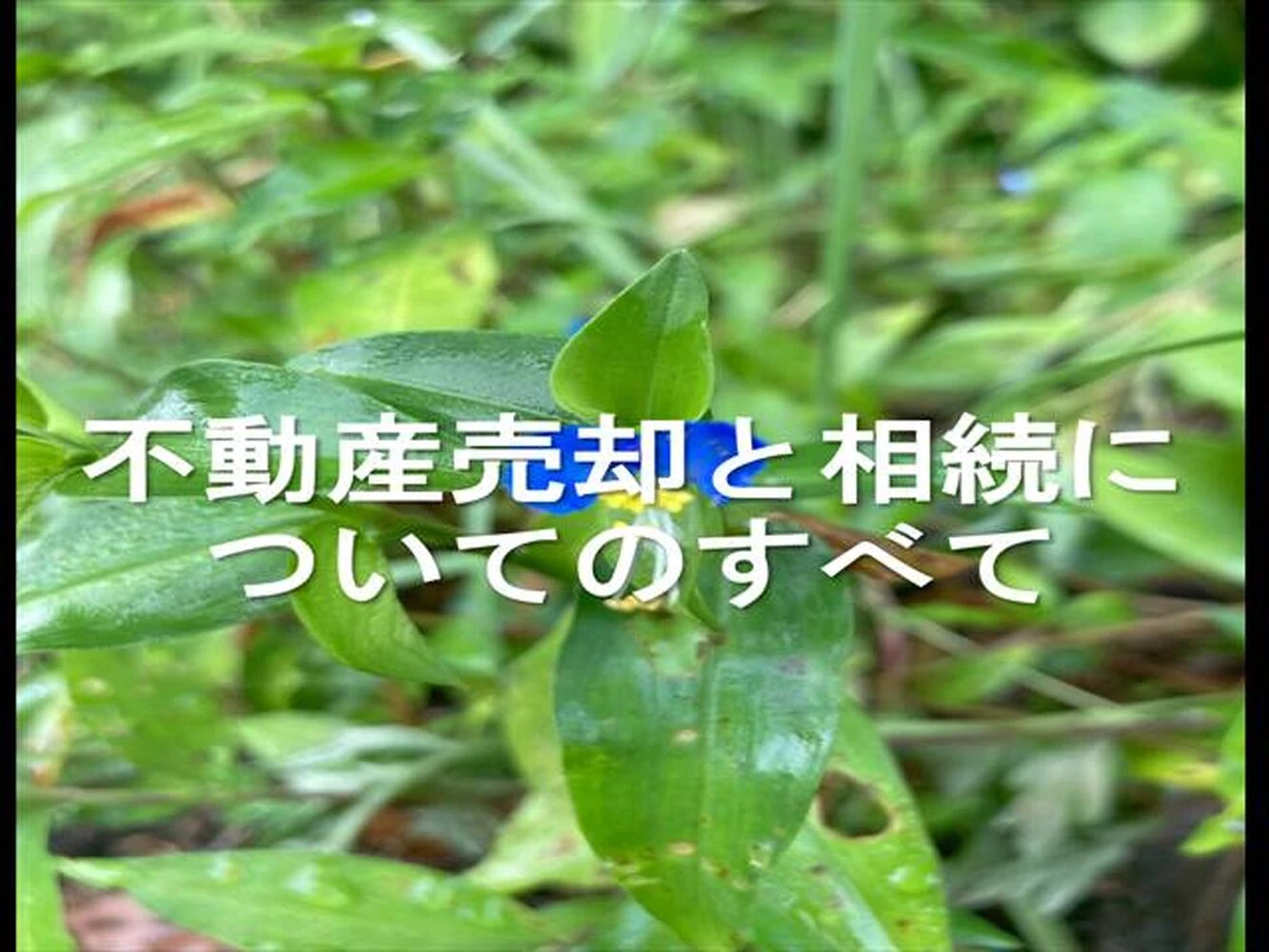 画像9824