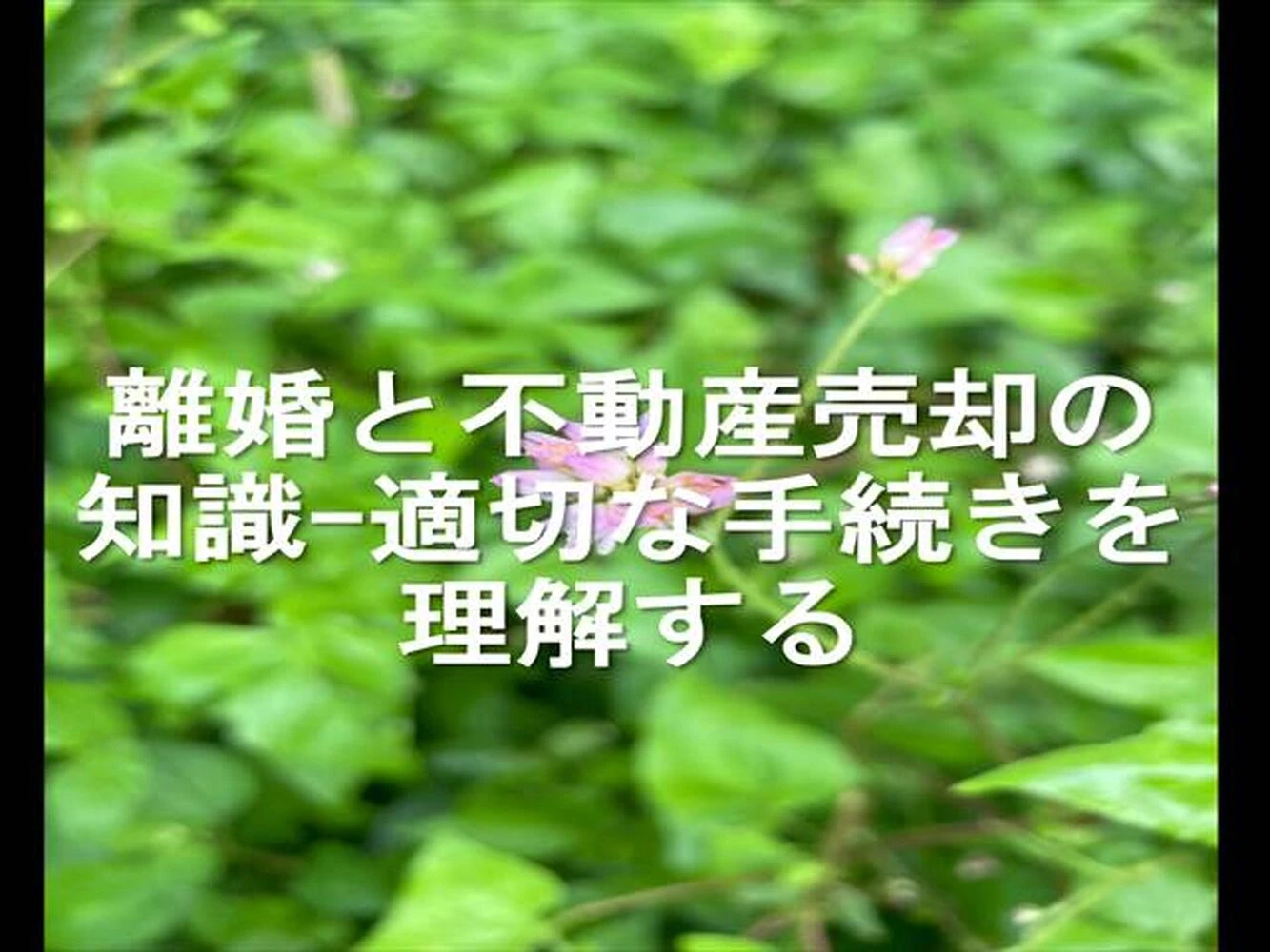 画像9926